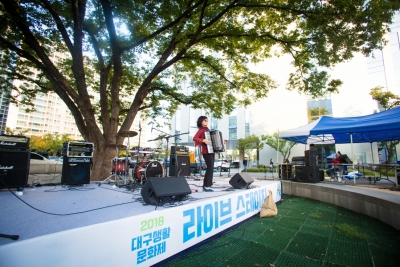 2018 대구생활문화제