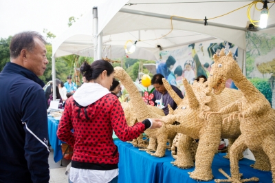 2018 대구생활문화제